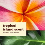 Hawaiian Tropic Sheer Touch Ultra Radiance Lotion Sunscreen SPF 30, 8oz | Hawaiian Tropic Sunscreen SPF 30, Sunblock, Broad Spectrum Sunscreen, Oxybenzone Free Sunscreen, Body Sunscreen, 8oz - Image 6