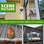 WENMIXER Window Bird Feeder with Non-Marking Self-Adhesive Hooks, Clear Window Bird Feeder for Outside, Transparent Bird House, Outdoor Bird Feeders, Wild Bird Watching Gift, Garden Decor - Image 2